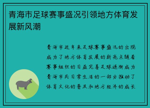 青海市足球赛事盛况引领地方体育发展新风潮