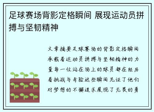 足球赛场背影定格瞬间 展现运动员拼搏与坚韧精神