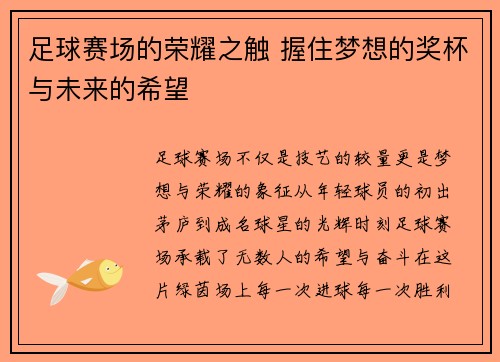 足球赛场的荣耀之触 握住梦想的奖杯与未来的希望