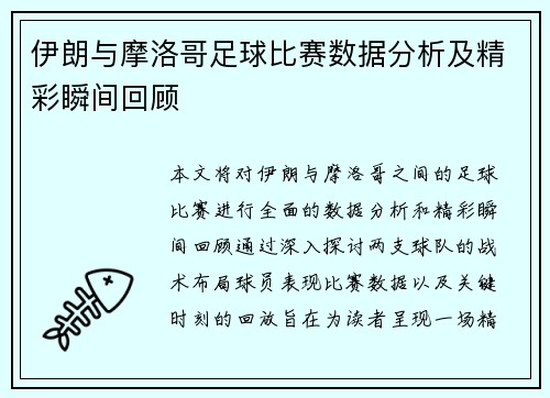 伊朗与摩洛哥足球比赛数据分析及精彩瞬间回顾