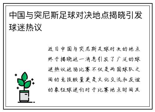 中国与突尼斯足球对决地点揭晓引发球迷热议